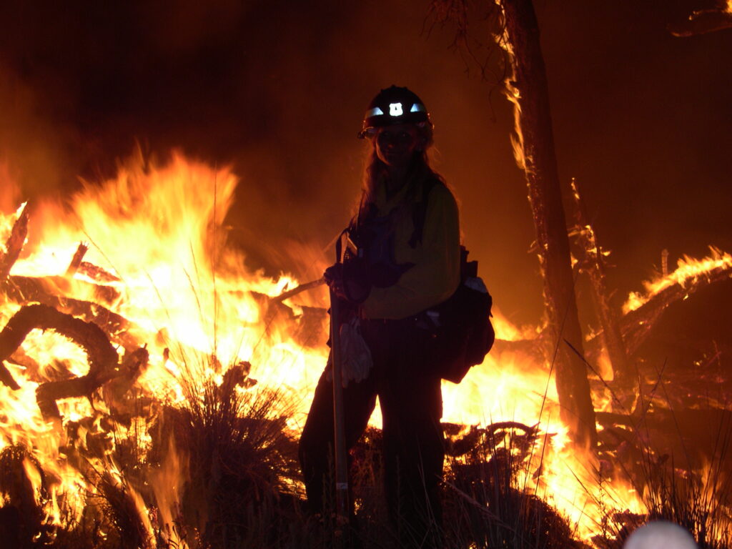 m reugebrink m reugebrink